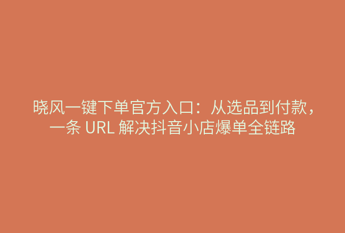 晓风一键下单官方入口：从选品到付款，一条 URL 解决抖音小店爆单全链路
