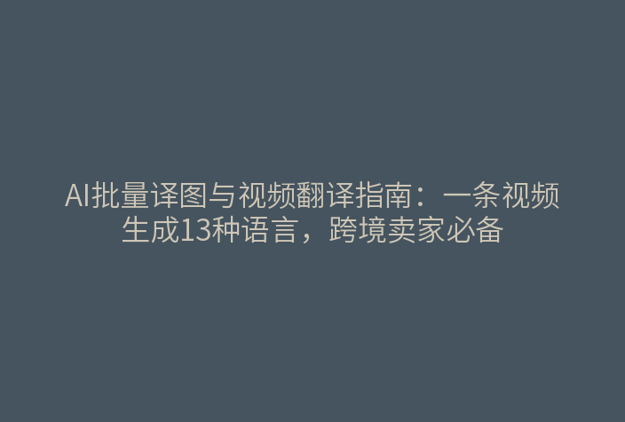 AI批量译图与视频翻译界面